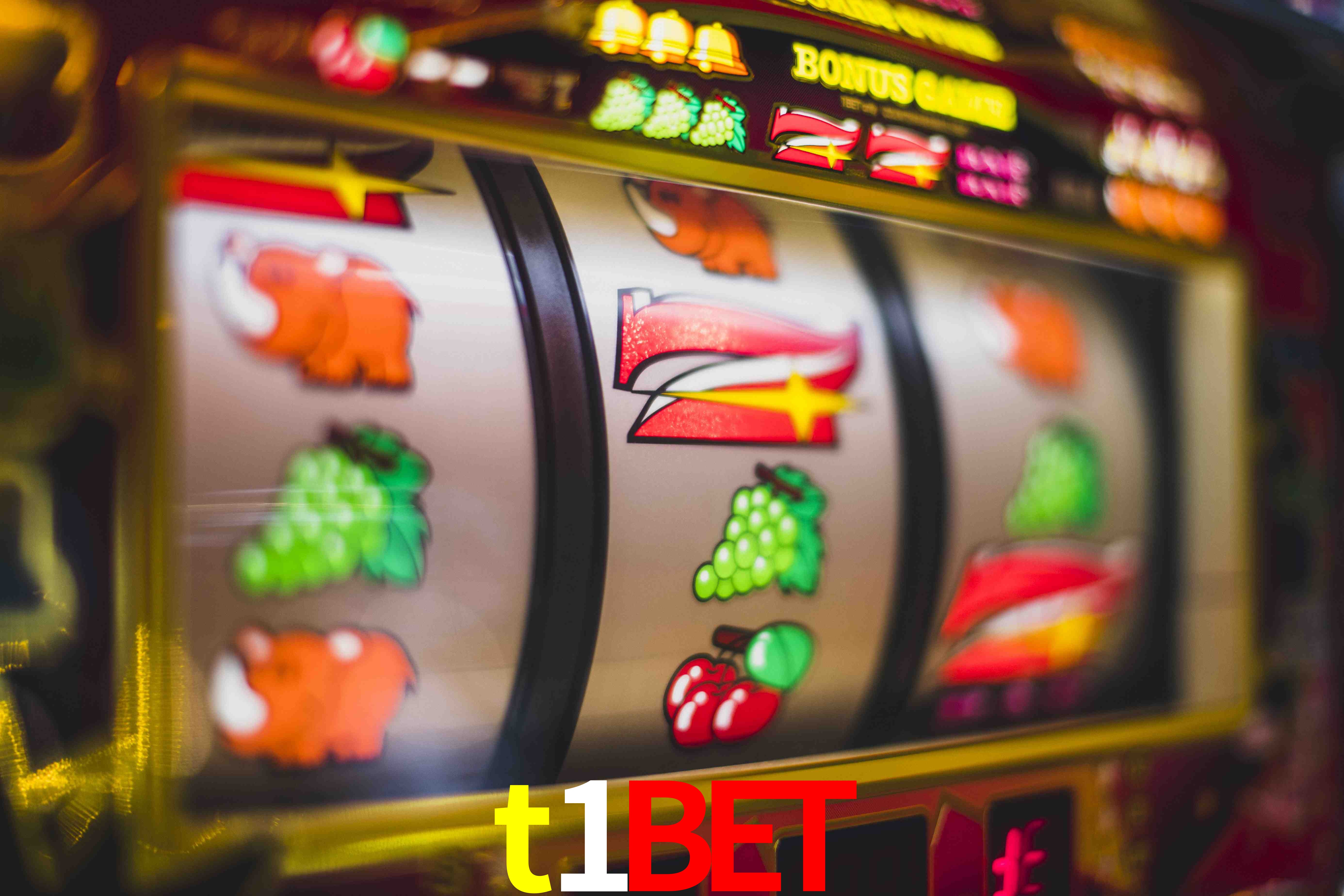 Football Betting t1bet